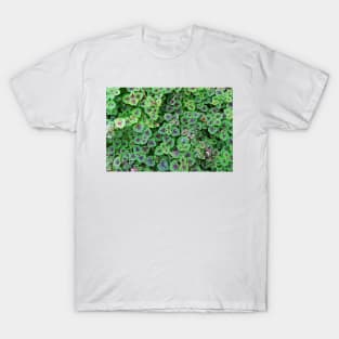 Nature's Design T-Shirt